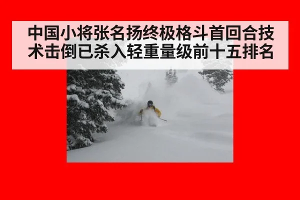 中国小将张名扬终极格斗首回合技术击倒已杀入轻重量级前十五排名